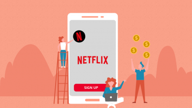 Cost to build a streaming service like netflix