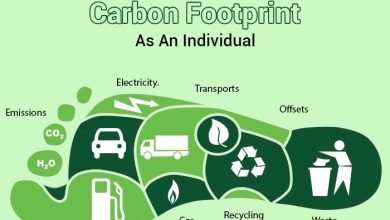 Reduce Carbon Footprint
