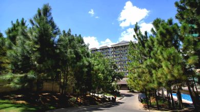 Experience hundreds of Caribbean Pine Trees when you live in the province at Camella Manors - Condo in the Philippines