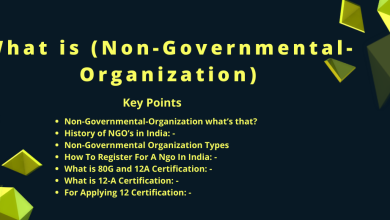 What IS NGO