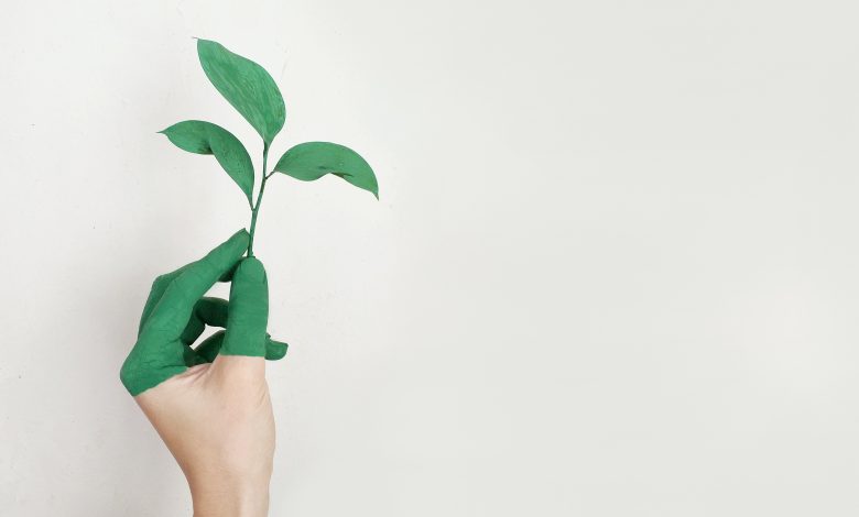 The impact of environmental Issues on Global Marketing