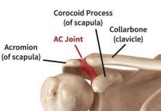 ac joint