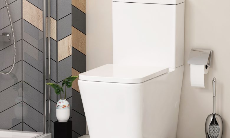 Cloakroom Toilet