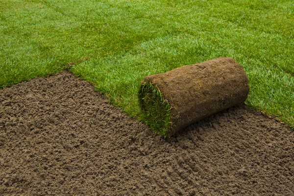 sod installation