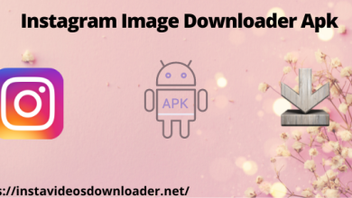 Instagram Video Download Online | instavideosdownloader online