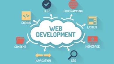 Web Development Service