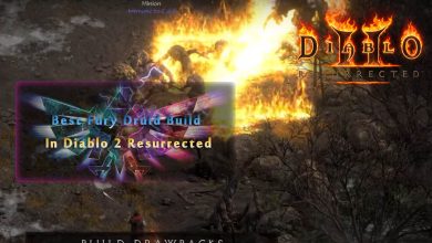 Best Fury Druid Build In Diablo 2 Resurrected