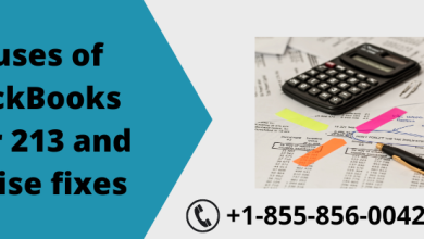 QuickBooks Error 213
