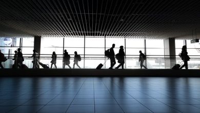 Immigration Consultants in India