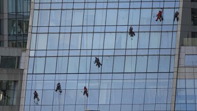 Window Cleaning