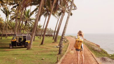 Solo Trip in India