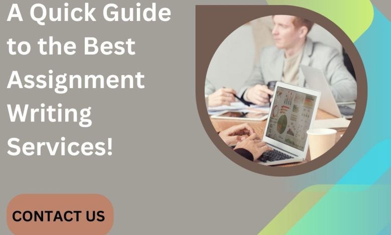 This guide will help you select the best assignment expert for all your future project needs and provide you best assignment expert review.