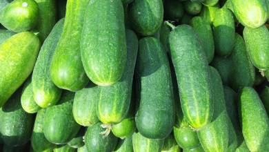 cucmber