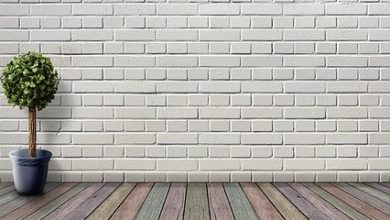 fly ash bricks