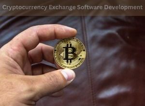 Cryptocurrency Exchange Software Development